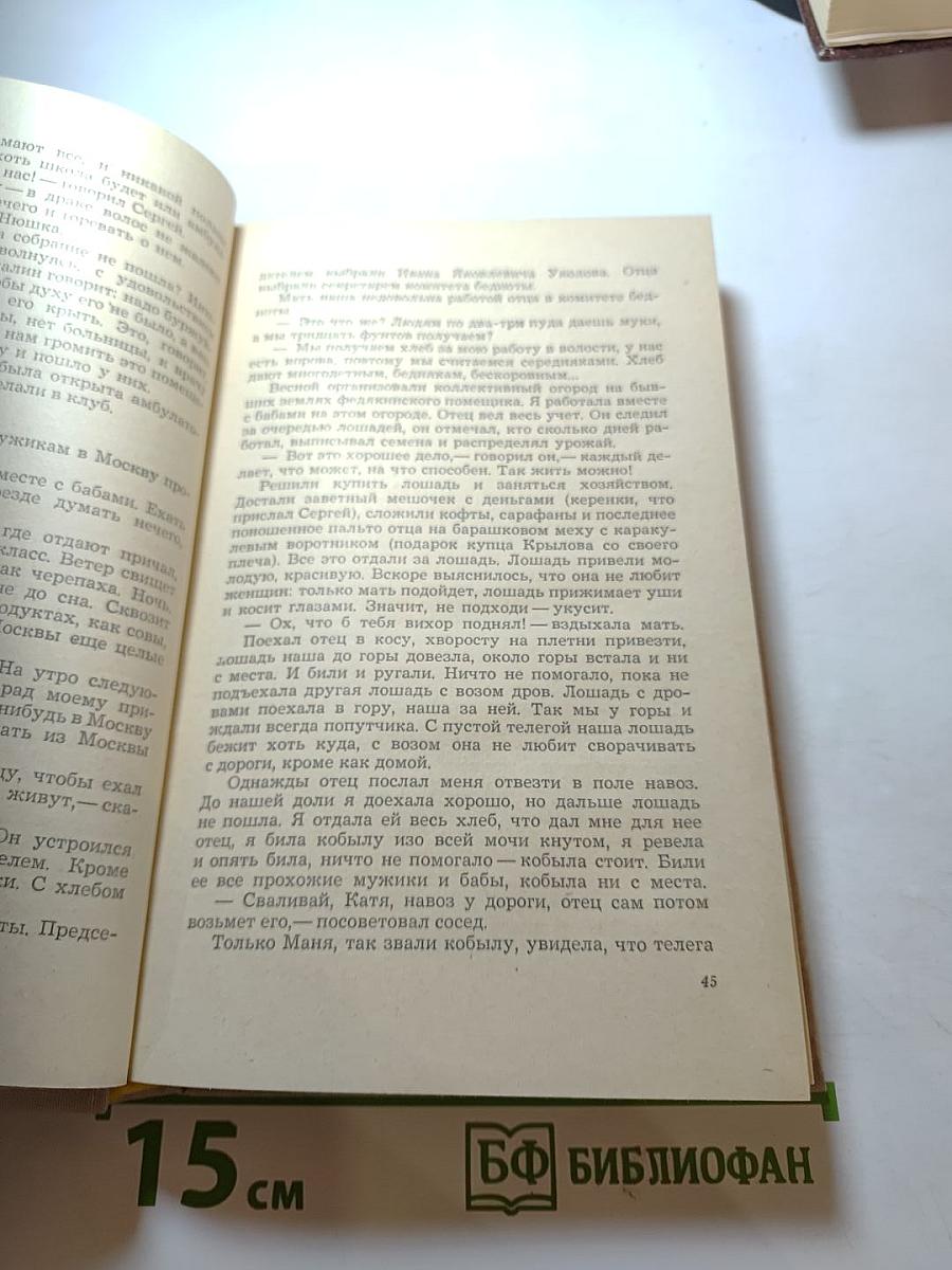 Воспоминания о Сергее Есенине