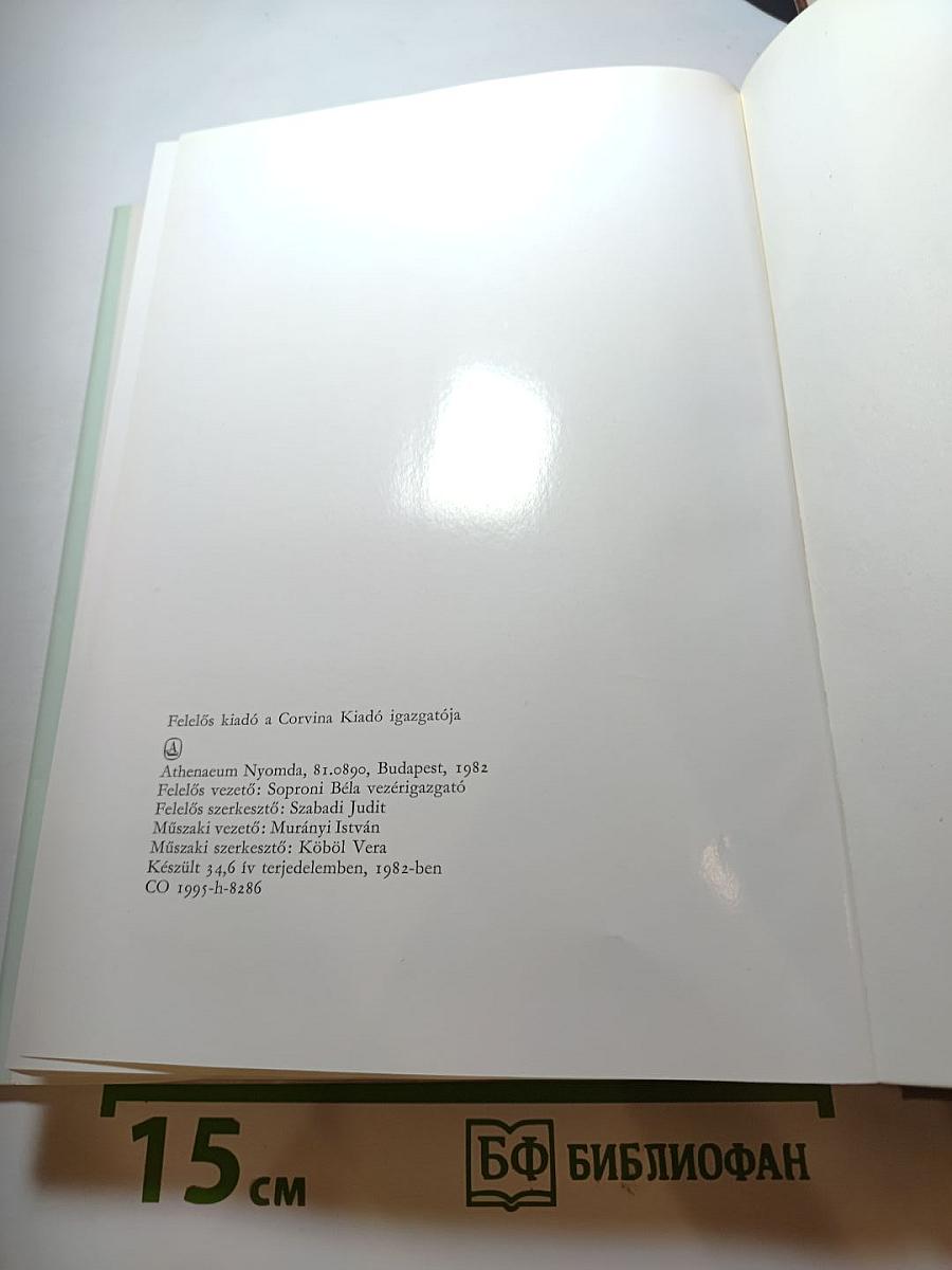 Az itáliai reneszánsz művészete