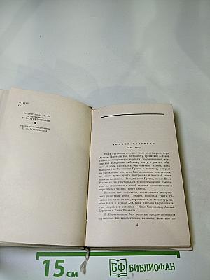 Акакий Церетели. Лирика