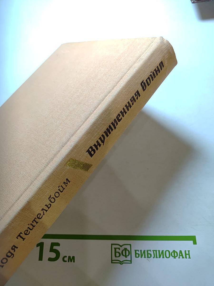 Внутренняя война
