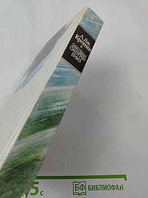 Звезды смотрят вниз