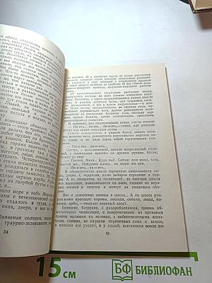 Железный поток