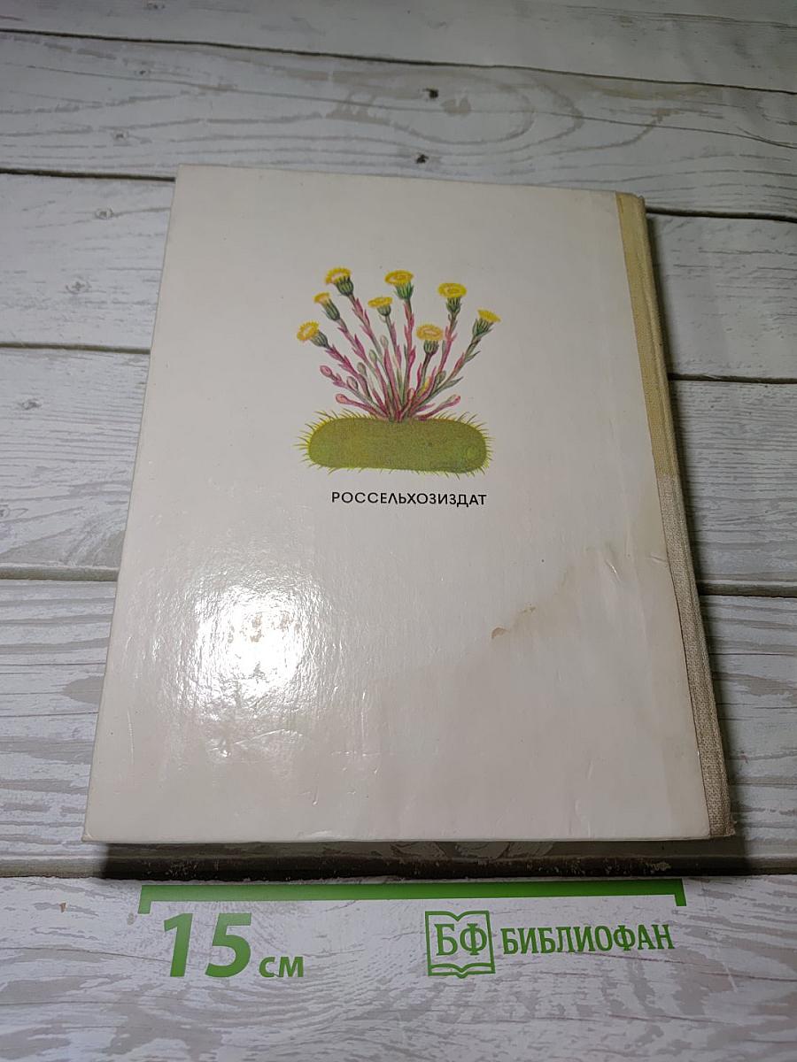 Лекарственные растения в быту