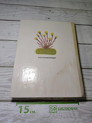 Лекарственные растения в быту