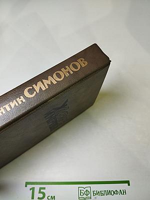 Живые и мертвые. Книга третья: Последнее лето
