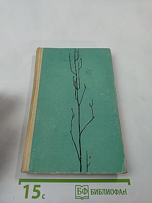 Иностранка и другие повести и рассказы