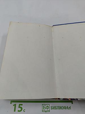 Волшебник-Бродяга: Волшебник не в своем уме; Волшебник в Бедламе