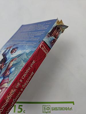 Волшебник-Бродяга: Волшебник не в своем уме; Волшебник в Бедламе