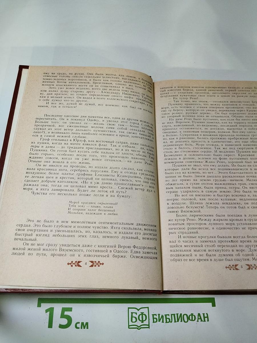 Пушкин в Михайловском