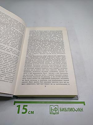 Пионеры, или У истоков Саскуиханны