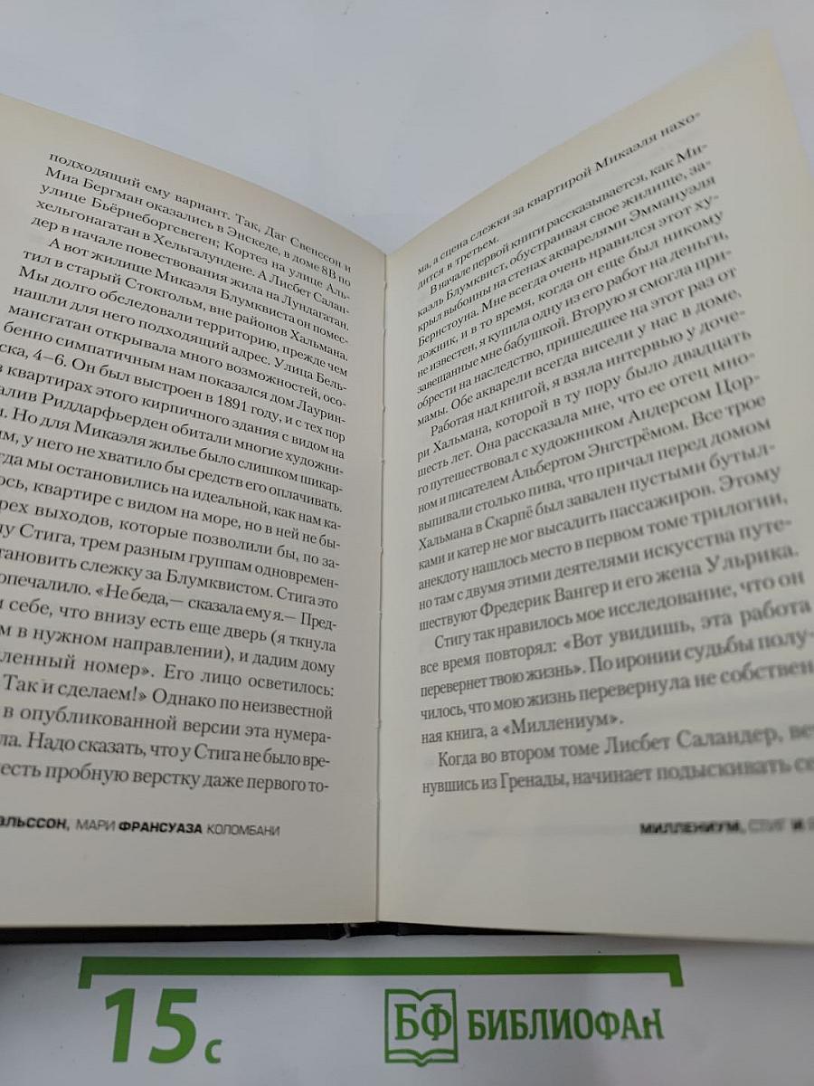 Миллениум, Стиг и я