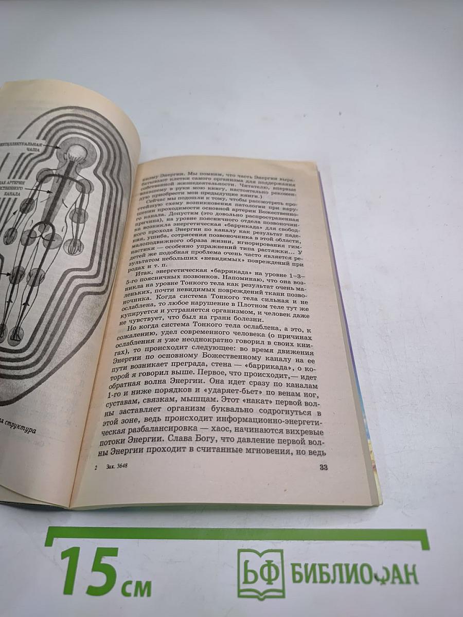 Книга, которая лечит: Болезни позвоночника и суставов. Информационно-энергетическое Учение