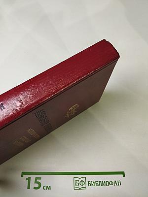 Молодо-зелено. Скудный материк