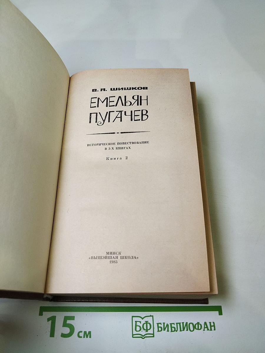 Емельян Пугачев. Книга 2