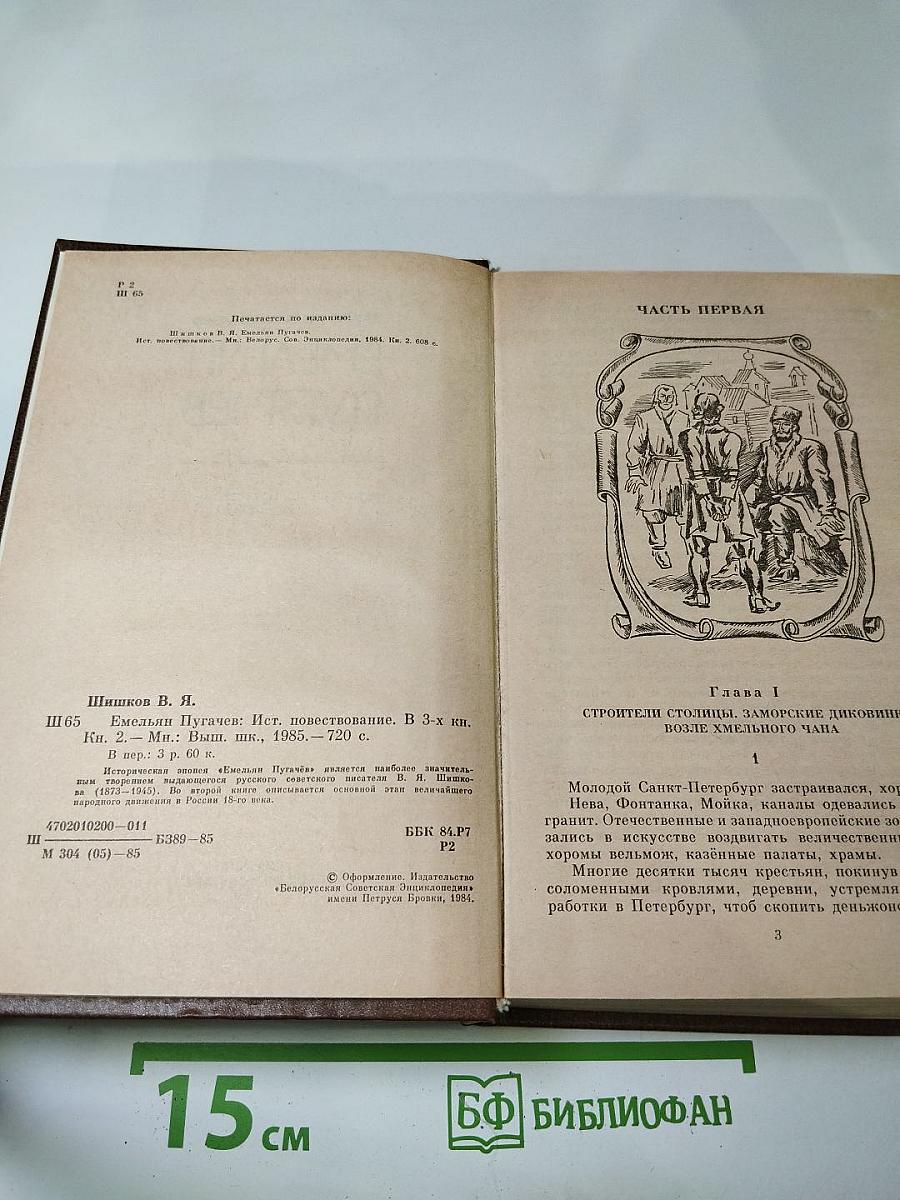 Емельян Пугачев. Книга 2