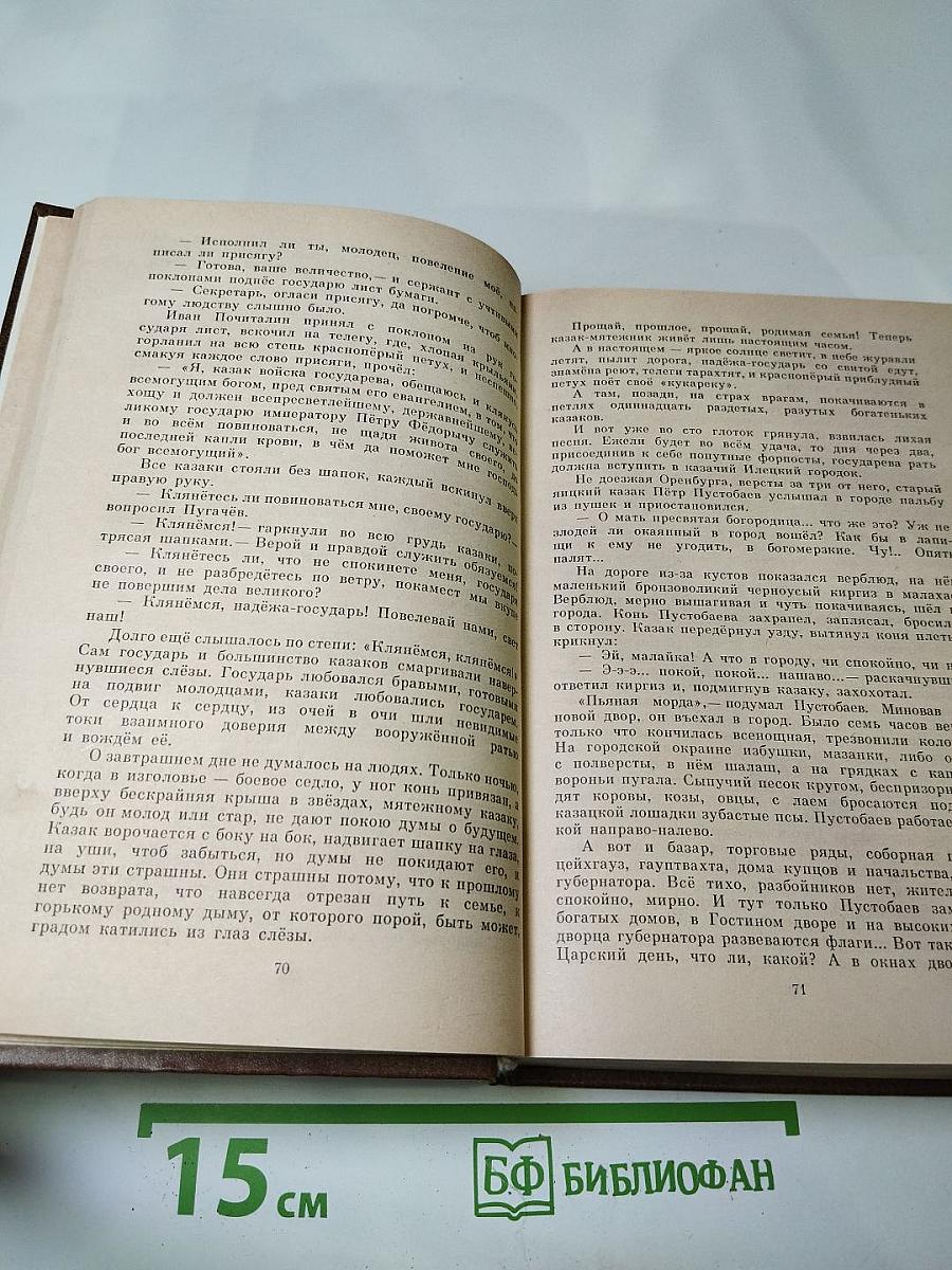 Емельян Пугачев. Книга 2