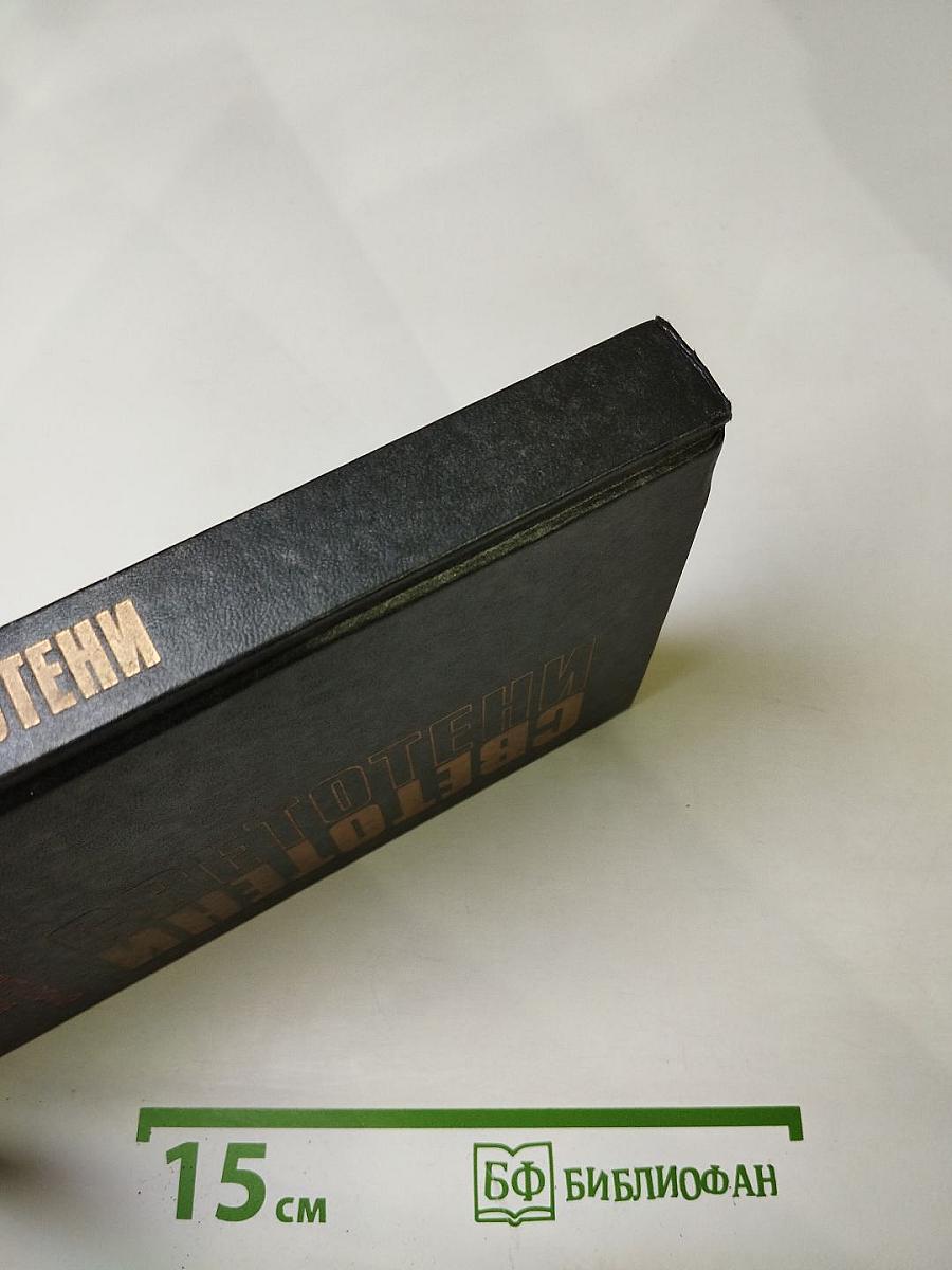 Светотени. Политический детектив