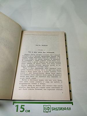 Черный Красавчик; Красавец Джой