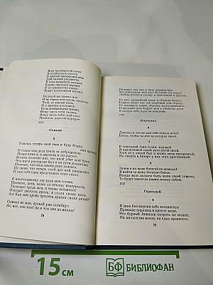 Мастера русского стихотворного перевода. Книга первая