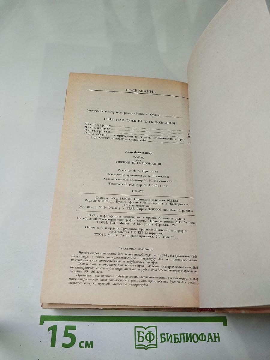 Гойя, или Тяжкий путь познания