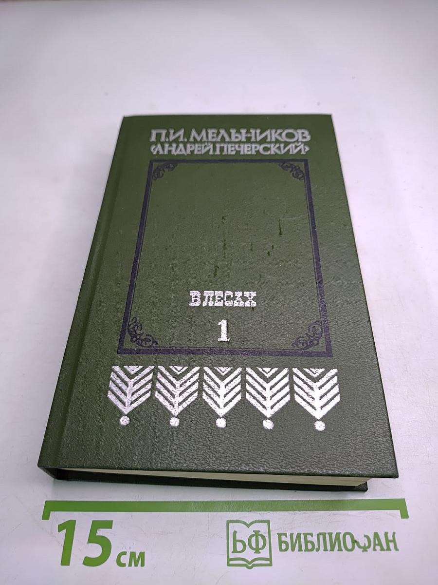 В лесах. Книга первая