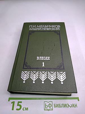 В лесах. Книга первая