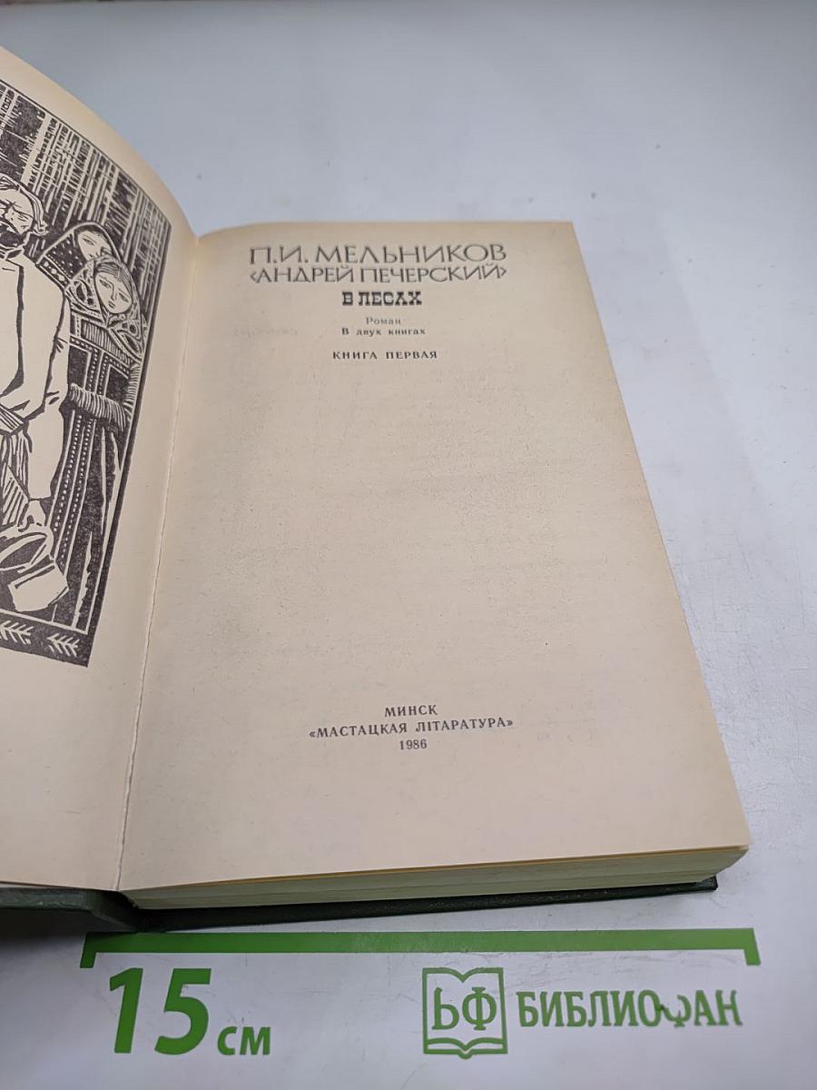 В лесах. Книга первая
