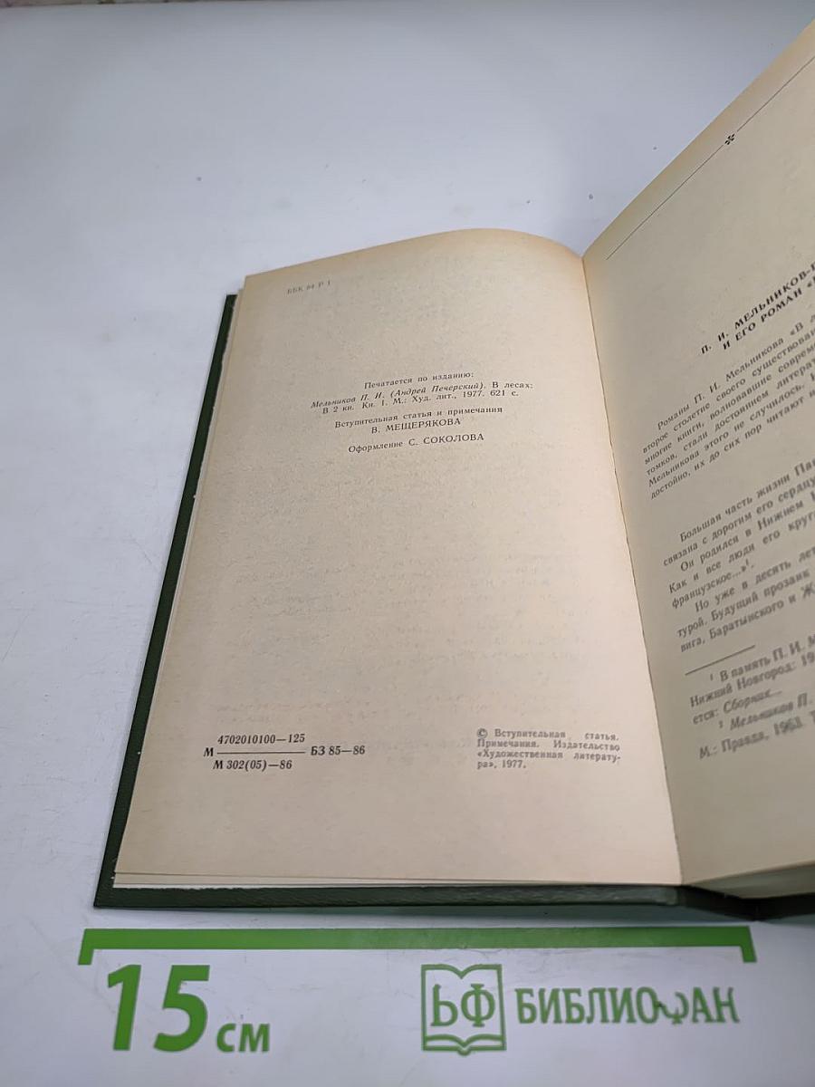 В лесах. Книга первая