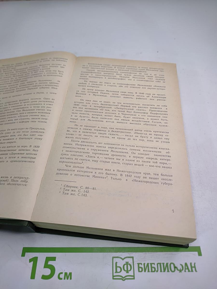 В лесах. Книга первая