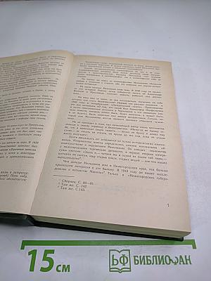 В лесах. Книга первая