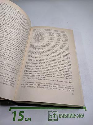 В лесах. Книга первая