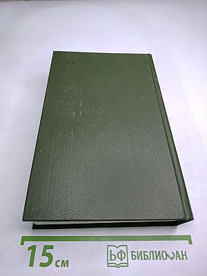 В лесах. Книга первая