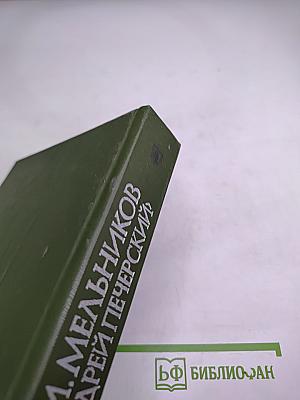 В лесах. Книга первая
