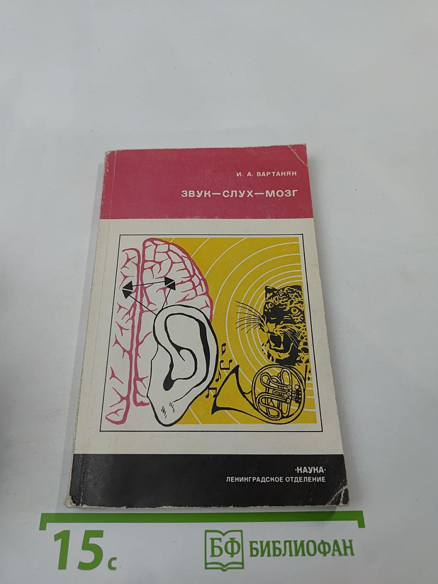 Звук - слух - мозг