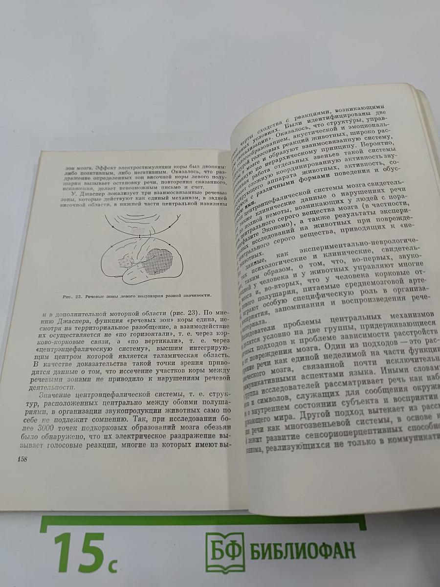 Звук - слух - мозг