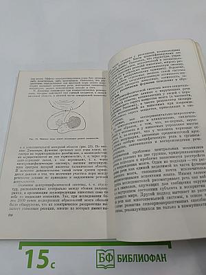 Звук - слух - мозг