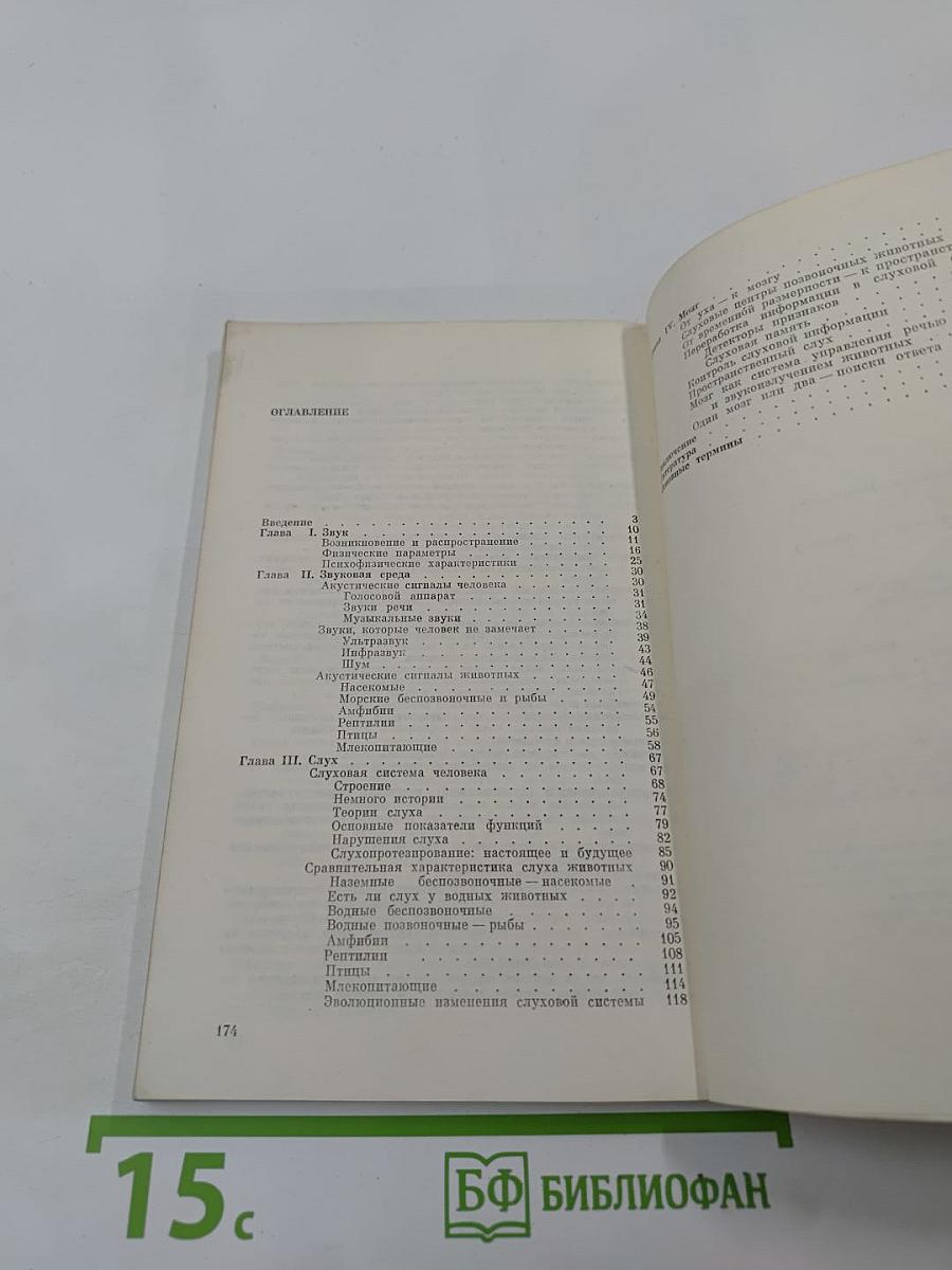 Звук - слух - мозг