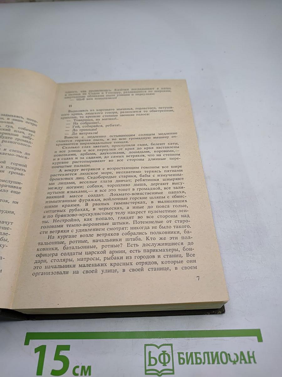 Железный поток. Разгром. Чапаев