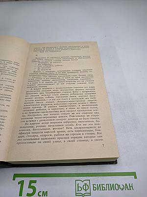 Железный поток. Разгром. Чапаев