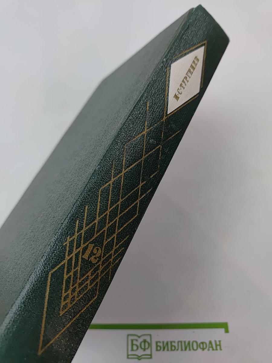 Собрание сочинений. Том двенадцатый. Избранные литературно-критические статьи, речи, воспоминания (1843–1881)