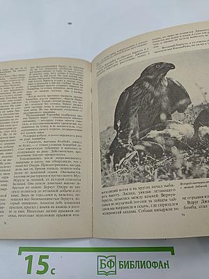 Охотничьи просторы. Альманах 33