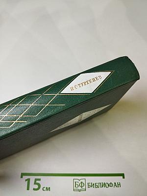 Избранные литературно-критические статьи, речи, воспоминания (1843-1881). Том двенадцатый