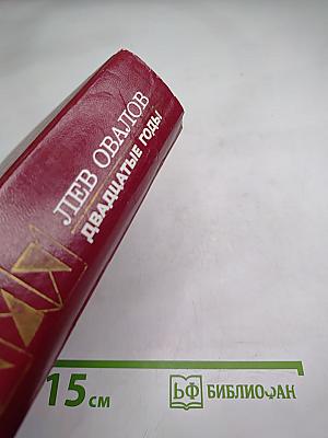 Двадцатые годы