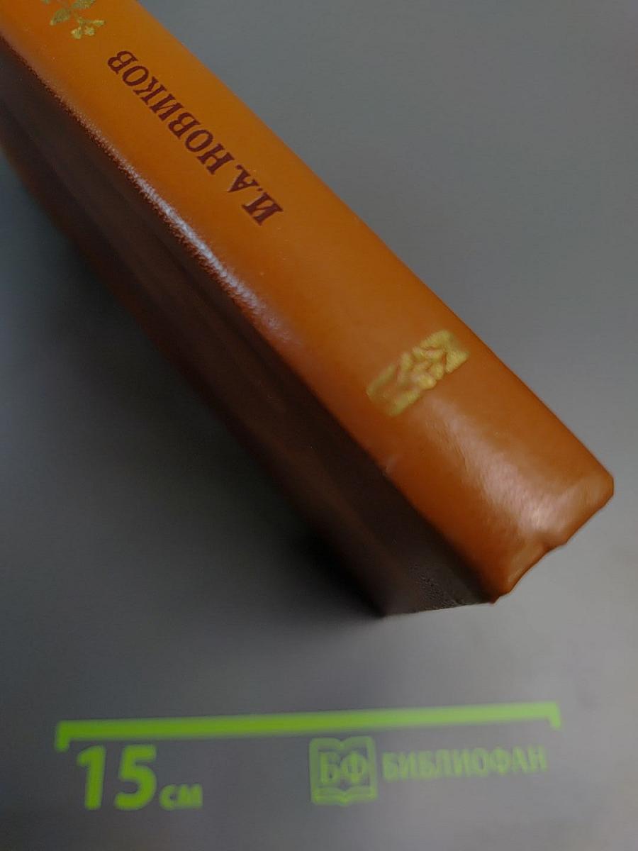 Пушкин в Михайловском