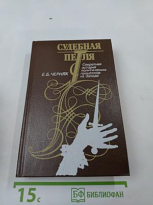Судебная петля: Секретная история политических процессов на Западе