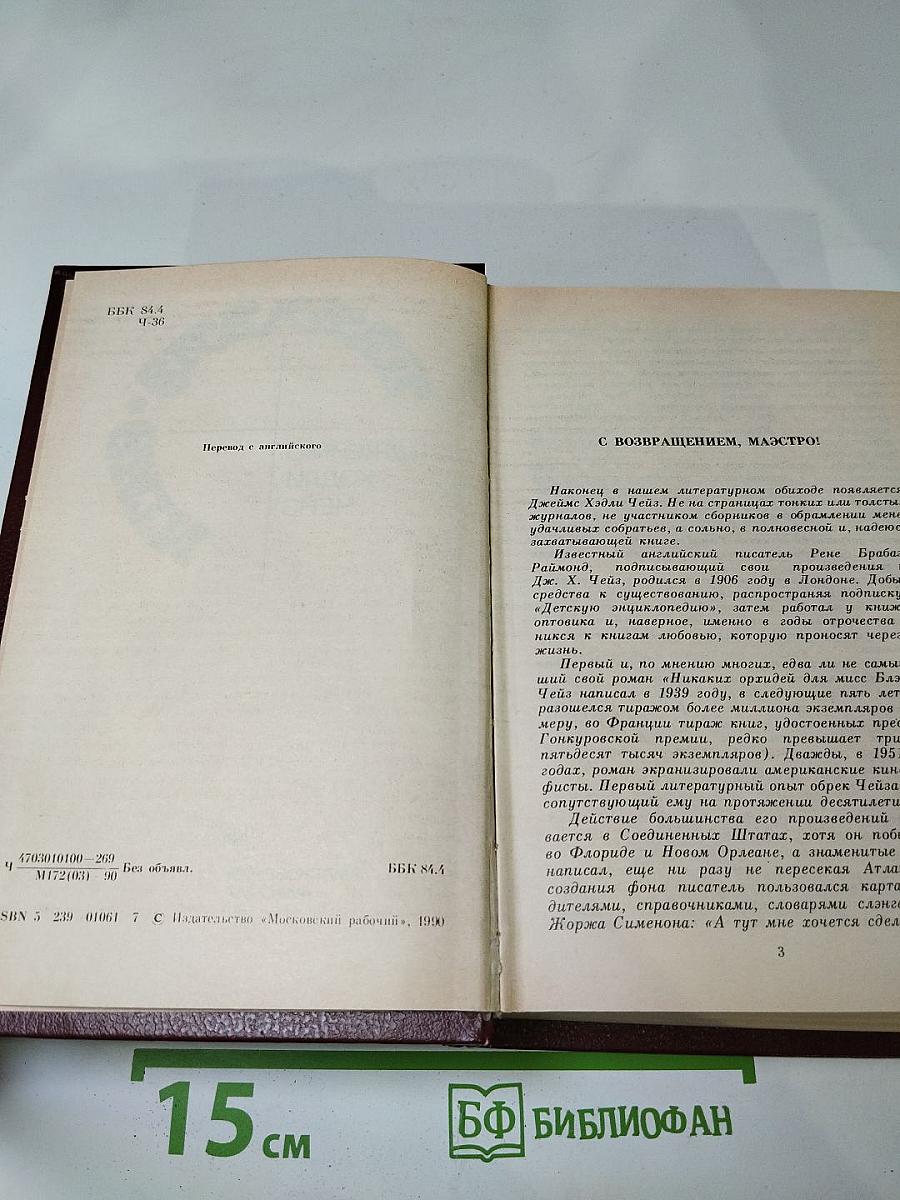 Парадиз. Сити