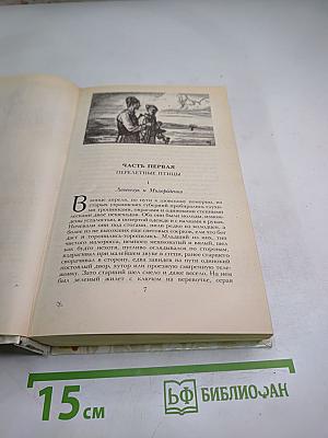 Беглые в Новороссии. Воля. Княжна Тараканова