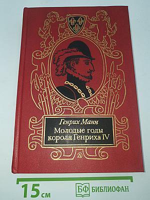 Молодые годы короля Генриха IV