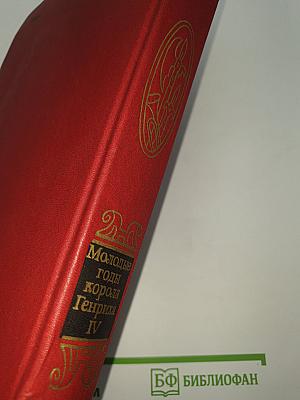 Молодые годы короля Генриха IV