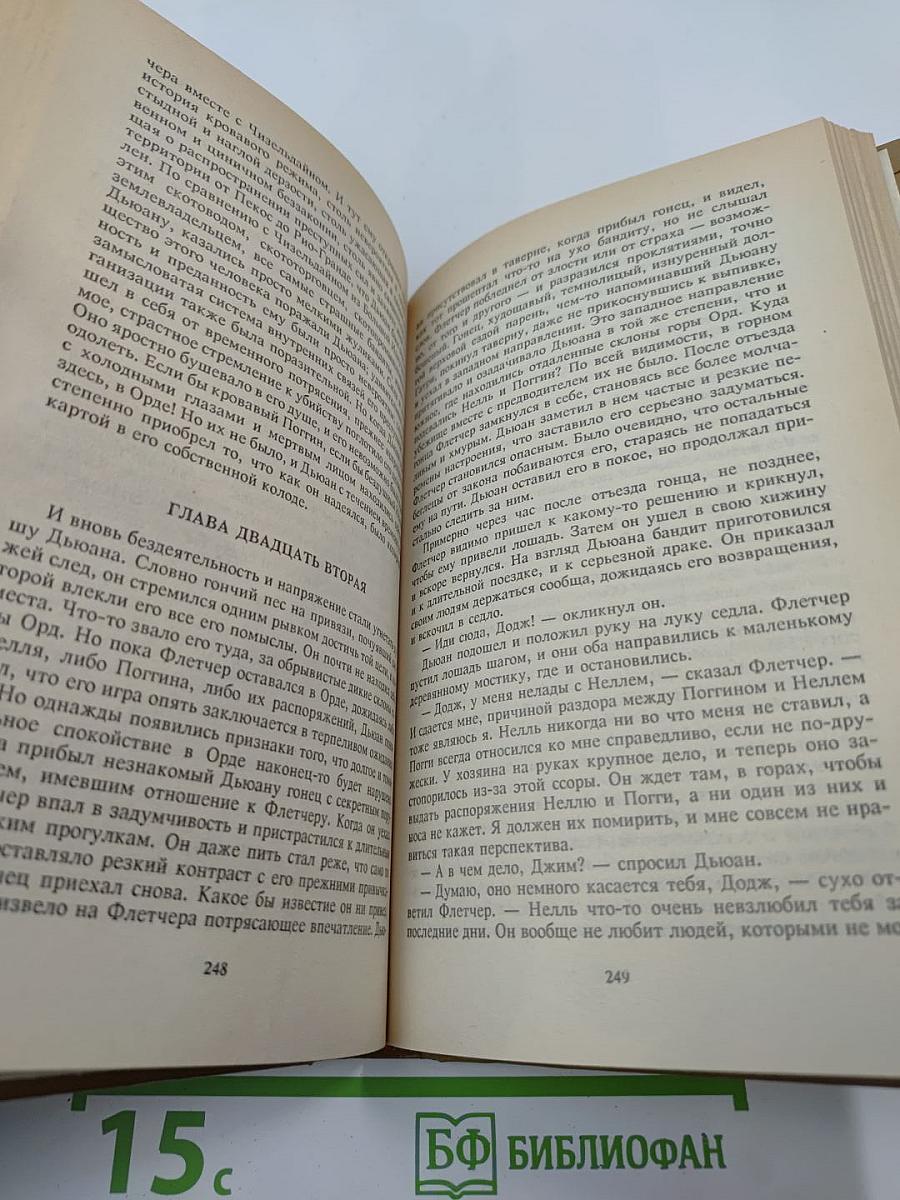 Техасский рейнджер. Клан Аризоны